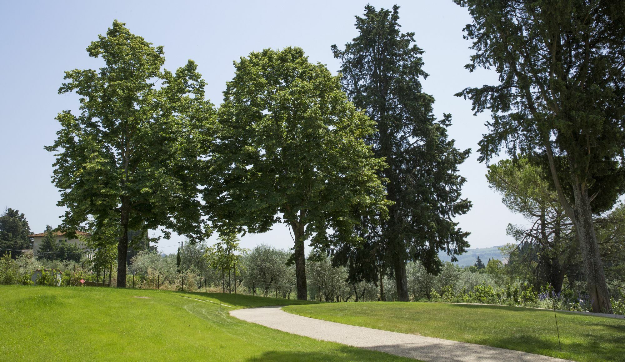Villa Le Calvane Montespertoli Esterno foto